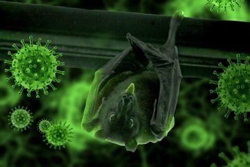 Pandemi Covid-19 Mereda, Ilmuwan Wanti-wanti Penularan Virus Khosta-2