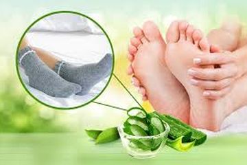 Cara Menghilangkan Kaki Pecah-pecah dengan Lidah Buaya, Tidak Hanya Penting Untuk Rambut Bisa Kembalikan Kaki Mulus