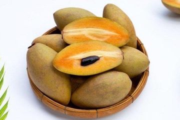 Buah sawo, berguna untuk mencegah hipertensi.