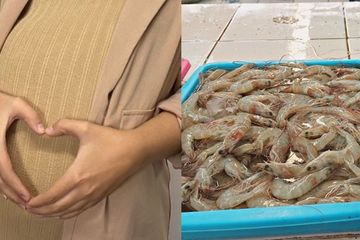 Ibu hamil makan udang kerap menjadi keraguan banyak orang