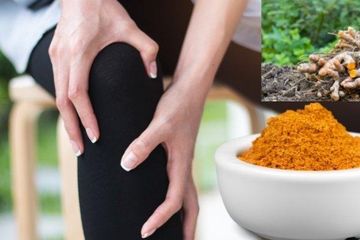 Temulawak adalah satu obat herbal asam urat yang mudah ditemukan