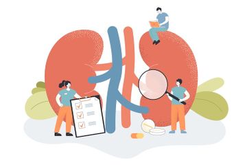 Mengenal struktur ginjal dan fungsinya