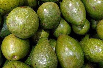 Ini dia manfaat mengonsumsi alpukat setiap sarapan
