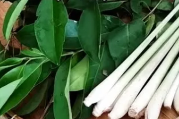 Hari Kesehatan Nasional, Cara Membuat Obat Tradisional Untuk Atasi Asam Urat
