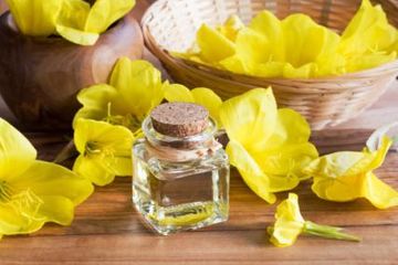 Dalam uji klinis, terbukti bahwa evening primrose oil dapat mengurangi gejala biduran. 