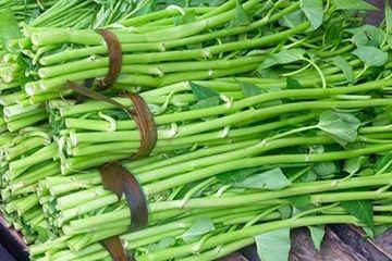 Kangkung menyebabkan asam urat, benar atau tidak?