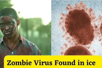 Pemasan Global Membangkitkan Virus Zombie Berusia Lebih dari 48.500 Tahun