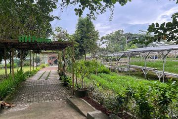 Tips berkebun