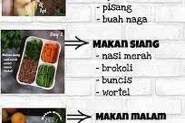 Cara Efektif Menjadi Langsing dengan Menu Makan ala JSR, Nyata dan Buktikan