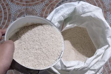 menghilangkan kutu beras dengan cepat
