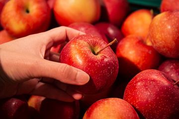Apel merupakan buah untuk asam lambung yang mempunyai kandungan vitamin dan mineral lengkap.