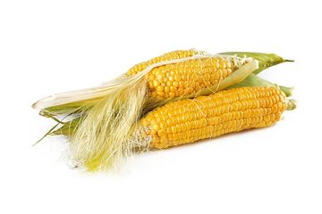 Kenali Manfaat Air Rebusan Rambut Jagung, Benarkah Bisa Untuk Penderita Diabetes?