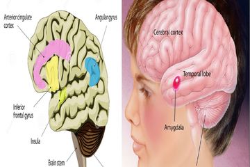 Apakah autisme sebuah penyakit? Inilah pendapat pakar.