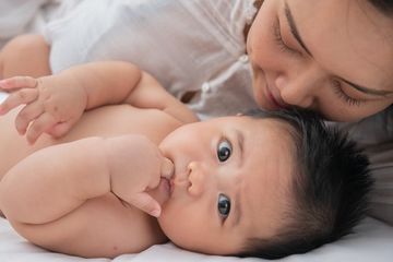 Pemilihan minyak telon yang tepat