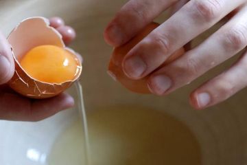 Khawatir merebaknya wabah flu burung, perlukah takut makan telur dan daging ayam?