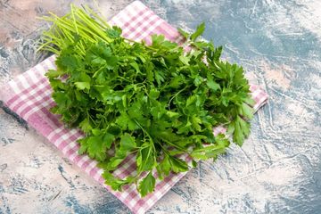 Cara Membuat Obat Alami Asam Urat dari Daun Seledri dan Manfaatnya