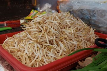 Saat ini beredar mitos terkait ibu hamil dilarang memakan tauge selama kehamilan. Benarkah demikian? Yuk, cari tahu faktanya berikut ini!