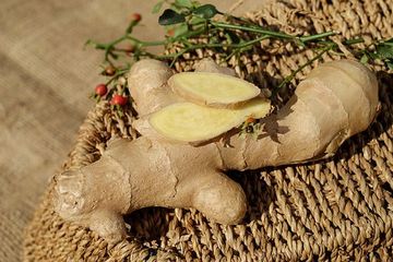 Jahe jadi salah satu obat herbal sakit perut sebelah kiri 