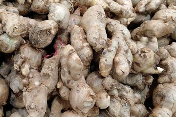 Membuat obat asam lambung dari jahe