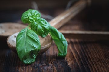 Gejala Asam Lambung Reda dengan Daun Kemangi, Begini Cara Konsumsinya