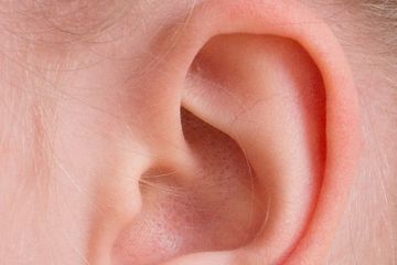 Ketahui titik pijat telinga yang bisa diterapkan untuk meredakan flu.