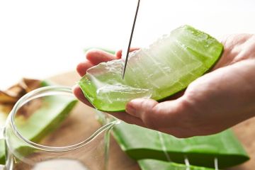 Rekomendasi Obat Herbal untuk Biduran, Cepat Mengurangi Gatal-gatal di Kulit