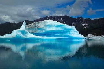 13 Fakta Menarik Iceberg, Bongkahan Es yang Menjadi Rumah Zooplankton