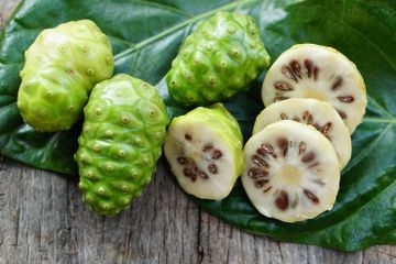Manfaat buah mengkudu yang kaya antioksidan dan anti-inflamasi.