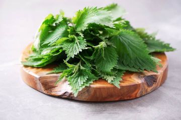Manfaat daun perilla untuk jantung hingga otak.