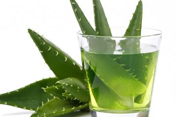 Manfaat jus lidah buaya untuk obat asam lambung