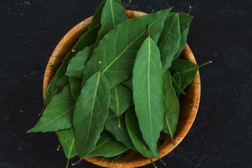 5 Obat Alami Diabetes, Terbuat dari Daun Salam Hingga Bawang Putih