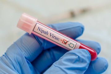 Wabah Virus Nipah Sebabkan 2 Orang Meninggal di India, Aktivitas Masyarakat Dibatasi