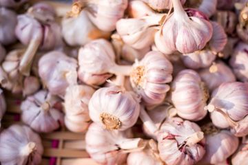 Tak Hanya untuk Masak, Bawang Putih Efektif Mengatasi 7 Masalah Kesehatan Ini