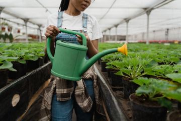 Manfaat berkebun untuk kesehatan sangat beragam.