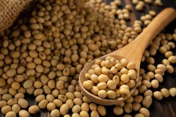 Obat kolesterol alami dari kacang kedelai