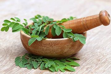 Begini Cara Membuat Obat Diabetes dari Daun Kelor, Catat dan Lakukan di Rumah