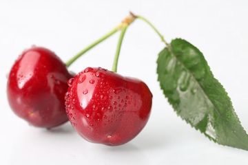 Obat asam urat alami dari ceri