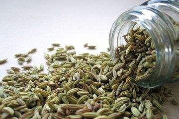 Manfaat Biji Adas, Jadi Obat Alami untuk 7 Masalah Kesehatan Ini