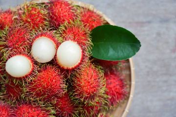 Cara membuat obat diabetes alami dari biji rambutan.