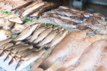 Cara mengolah ikan laut agar tidak bau amis, diawali dengan pilih jenis yang tepat.