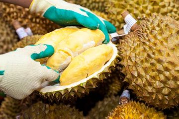 Biji durian kaya akan kandungan mineral.