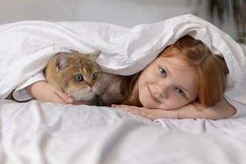 Moms bisa ikuti langkah-langkah berikut mengenai cara membersihkan kutu kucing di kasur agar tetap bersih dan menyehatkan untuk orang-orang rumah.