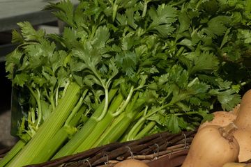 Manfaat Tersembunyi Jus Daun Seledri, Bisa Turunkan Kolesterol Tinggi