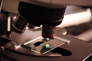 Terobosan Terapi Sel Punca, Perlunya Akses Mudah Masyarakat Untuk Advanced Therapy