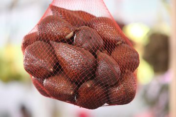 Manfaat kulit salak untuk kesehatan tubuh.