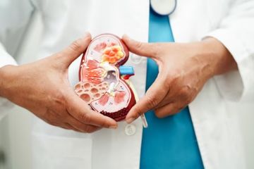 Penyandang Diabetes Rentan Terkena Ginjal Kronik, Lakukan Ini untuk Ketahui Risikonya