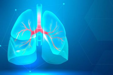 Kunci Jawaban Soal Proses Pertukaran Gas di Paru-paru, Biologi Kelas XI SMA Kurikulum Merdeka