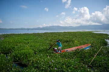Berita Danau Tondano Terbaru Hari Ini - National Geographic