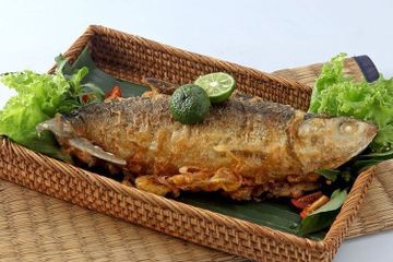Manfaat ikan bandeng dibandingkan salmon