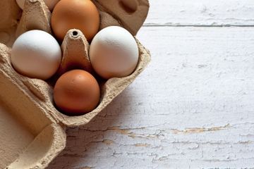 Daftar Makanan Sehat yang Tinggi Kolesterol, Apakah Membahayakan Tubuh?
